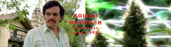 героин Богданович