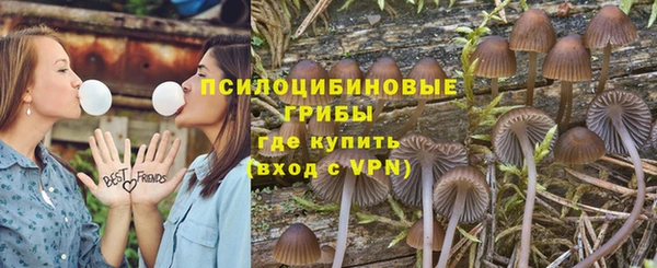 героин Богданович