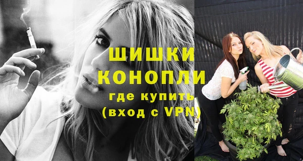 прущие грибы Богородск