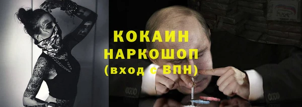 прущие грибы Богородск