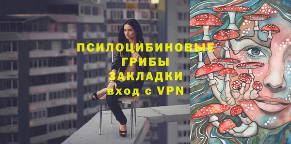 a pvp Богородицк