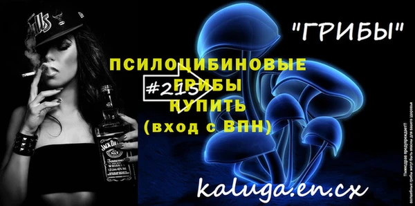 прущие грибы Богородск